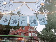 -猫咪博物馆(顶澳仔猫街店)