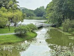 -东莞植物园