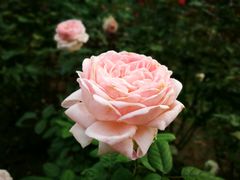 -人民公园(罗湖区)