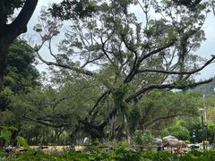 -厦门大学(思明校区)
