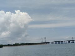 -宝安西湾红树林湿地公园