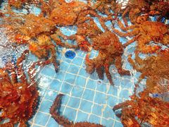 -79号渔船海鲜饭店(宝安店)