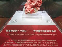 -湖南省地质博物馆