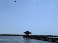 -南大港湿地风景区