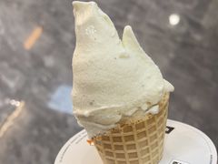 -野人先生现做冰淇淋(西安赛格店)