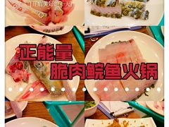 -正能量脆肉鲩火锅