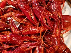 -靓靓蒸虾·头牌蒸虾(南山桂庙店)