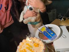 -玲婧胡同·生日蛋糕·餐厅(嘉里城店)