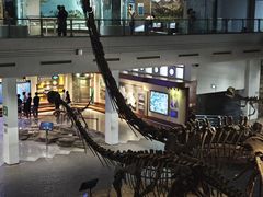 -自贡恐龙博物馆