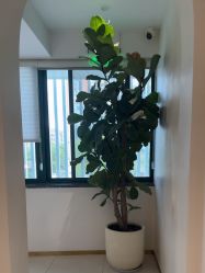 -WENDY·温迪皮肤管理