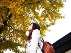 北寺塔-北寺塔