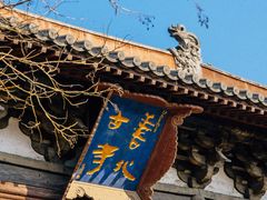 -善化寺