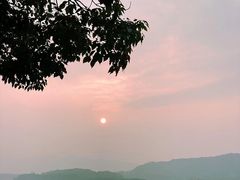 -柳莺湖上·湖景餐厅·江南菜(西湖店)