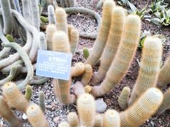 -南山植物园