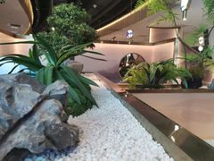 -马家斑.鲜鱼火锅(松湖万科店)