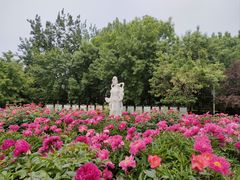 -丰台花园