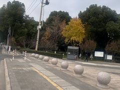 -圩墩遗址公园