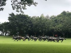 -广州雕塑公园