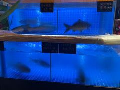 -夜椒瑶·广西大排档(八卦岭店)