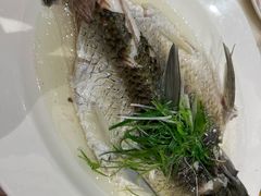 油盐蒸青竹皖鱼-稻香酒家·35年老字号(侨光店)
