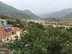 -313羊庄鲜羊火锅·鲜羊肉烧烤(李村店)