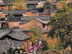 -杨家堂村