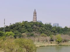 -顺峰山公园