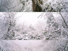 -九峰山