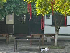 -常熟方塔园