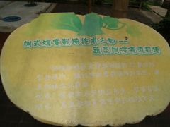 景点-观光南瓜园