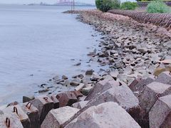 -上海滨江森林公园