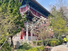 -崂山仰口游览区