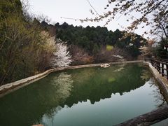 -华清宫景区