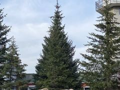 -北极村旅游风景区