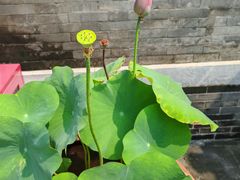 -李叔同故居纪念馆