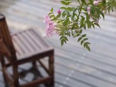 -法云安缦酒店