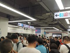 -东方体育中心(地铁站)