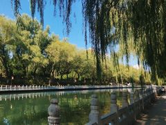 -南长河公园