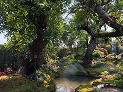 -Chom Cafe and Restaurant