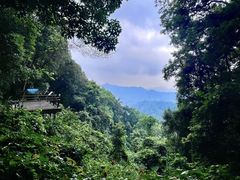 -广州市帽峰山景区