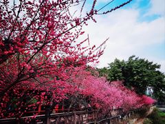-望江楼公园