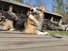 -北京山里寒舍度假酒店