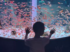 -海合安成都极地海洋公园