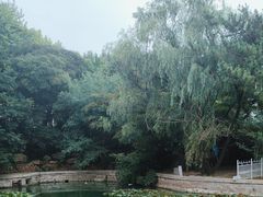 -八大关景区