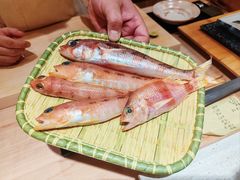 -镹·鱼料理  国产鱼使用店
