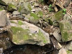 -藏龙百瀑风景区