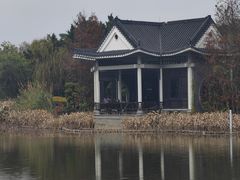 -映月湖公园