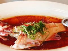 东星斑清蒸-旺顺阁海鲜广场(亚运村店)