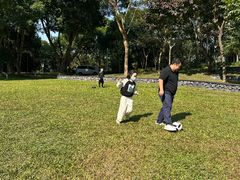 -银湖山郊野公园-相思林