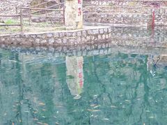 -洛阳花果山景区